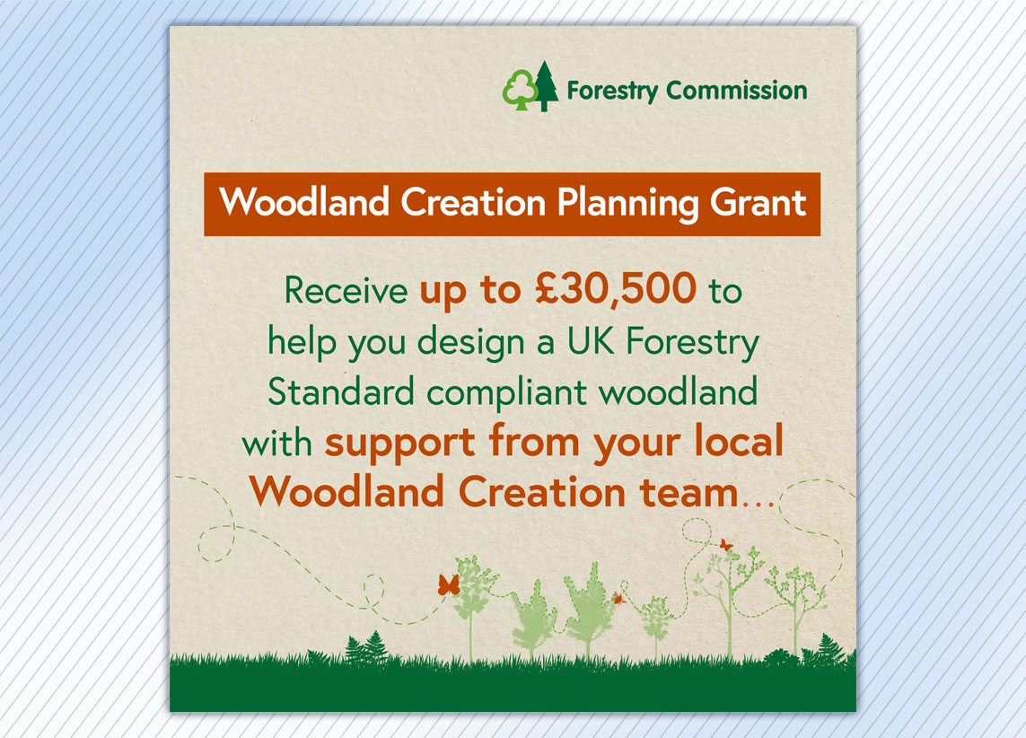 Forestry Commission Create Woodland carousel graphic